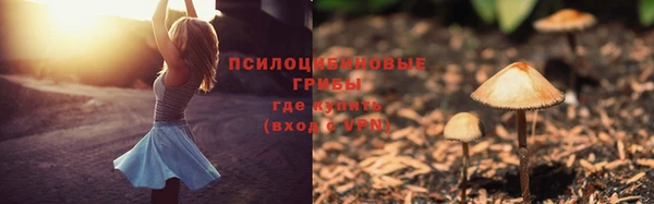 индика Балабаново