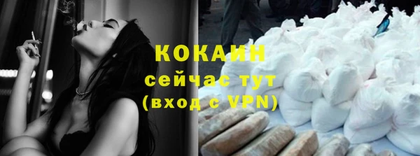индика Балабаново