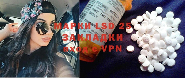 индика Балабаново