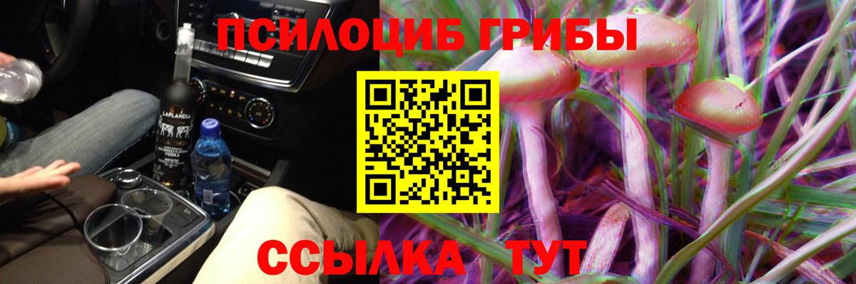 Псилоцибиновые грибы ЛСД  Вход с VPN  Борзя 